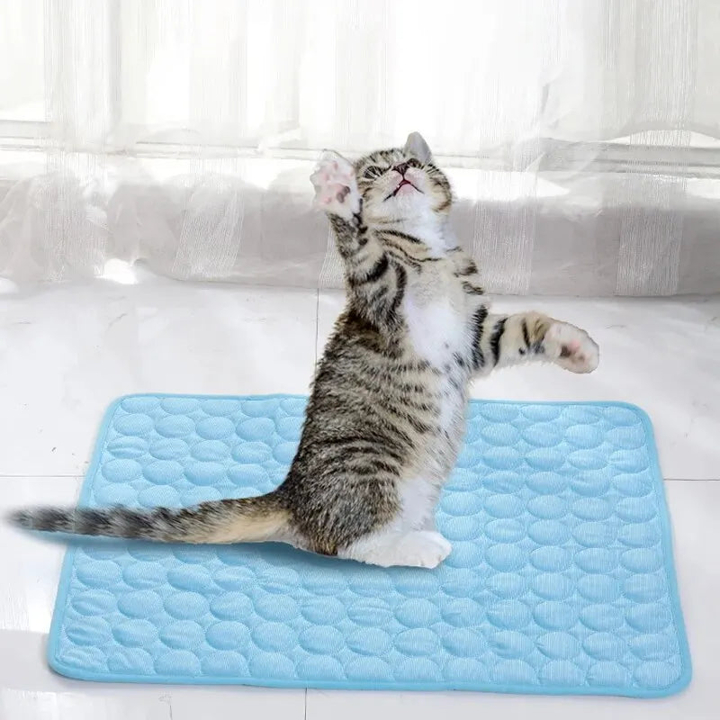 Cooling Pet Ice Mat for Dogs & Cats – Summer Sleeping Pad, Sofa Nest Bed