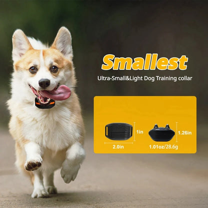 Smart Training Collar With 3 Modes