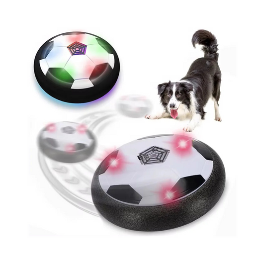 Pet Smart LED Soccer Ball | Pet Play Toy | Tech Tails